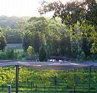 Lyrebird Ridge Organic Winery - Accommodation Asia