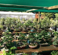 Bonsai at the Bay - Accommodation Asia