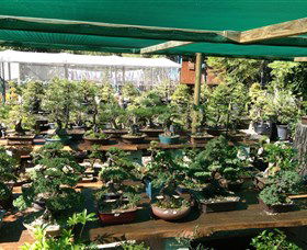 Bonsai At The Bay - Accommodation Asia 0