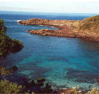 Bass Point Reserve - Accommodation China