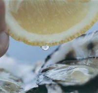 Pearly Oyster Bar and Farm - Accommodation Asia