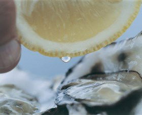 Pearly Oyster Bar And Farm - Accommodation Asia 0