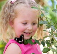 Coffs Harbour Butterfly House - Accommodation Asia
