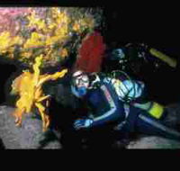 Solitary Islands Marine Park - Accommodation Asia