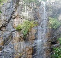 Wedding Bells Forest Drive - Accommodation Asia