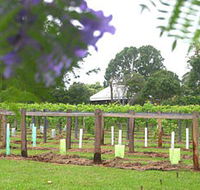 Douglas Vale Historic Homestead  Vineyard - Accommodation China