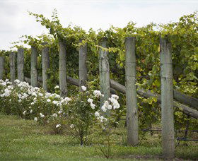 Lambert Vineyards Cellar Door - Accommodation China 2