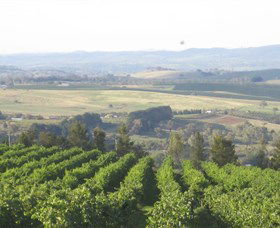 De Salis Wines - Accommodation Guide 1