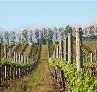 Philip Shaw Wines - Accommodation Guide