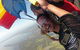 Skydive Sydney North Coast - thumb 2