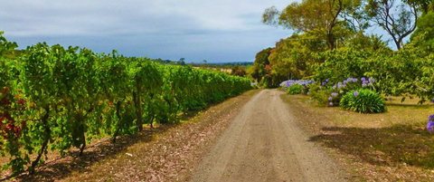 Merricks Estate - Accommodation China 1