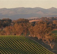 Angullong Wines - Accommodation Guide