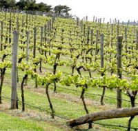 Bantry Grove - Accommodation Guide