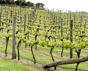 Bantry Grove - Accommodation Guide 0