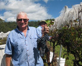 Razorback Ridge Wines - Accommodation Guide 2