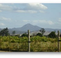 Ironbark Ridge Vineyard - Accommodation Guide