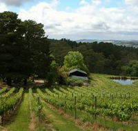 Arranmore Wines