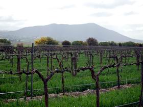 Remarkable View Wines - Accommodation Guide 1