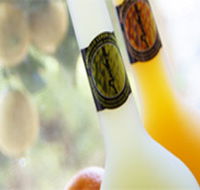 Ambra Limoncello - Accommodation Guide