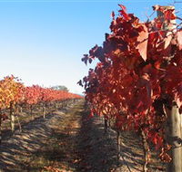 Kooyonga Creek Wines - Accommodation Asia