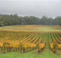 Boat O'Craigo Wines - Accommodation Asia