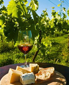 King River Estate - Accommodation China 3