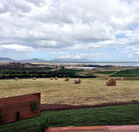 The Hazards Vineyard - Devil's Corner - Accommodation Asia