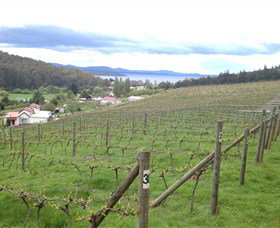 St Imre Vineyard - Accommodation China 1