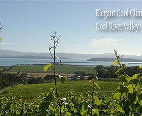 Coal Valley Vineyard - Accommodation Guide 5