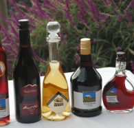 Hartzview Vineyard Heritage Pickers Hut Village - Accommodation Asia