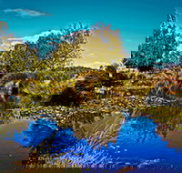 Loira Vines - Accommodation Asia