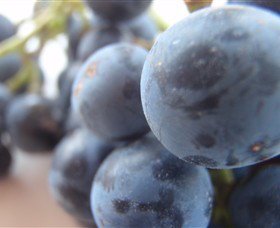 Cannibal Creek Vineyard - Accommodation China 2