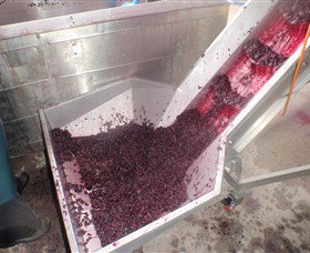 Cannibal Creek Vineyard - Accommodation China 6