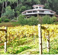 Peveril Vineyard/Beechy Berries - Accommodation Asia