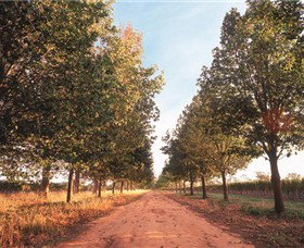 Water Wheel Vineyards - Accommodation Guide 1