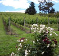 Pembroke Estate Vineyard - Accommodation Asia