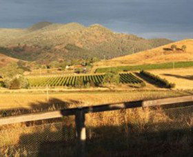 Optimiste Wines - Accommodation Asia 0