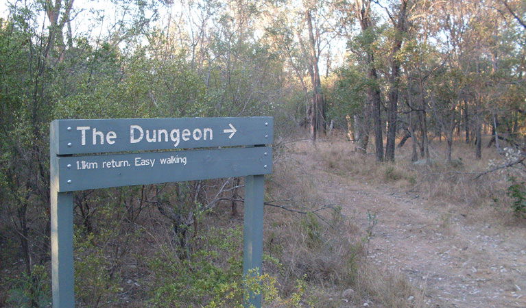 Limestone NSW Accommodation Guide