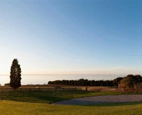 Jack Rabbit Vineyard - Accommodation Guide 3