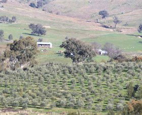 Wymah Organic Olives And Lambs - Accommodation Guide 0