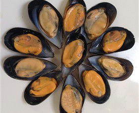 Advance Mussel Supply - Accommodation Guide 3