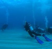 Man and Wife Rocks Dive Site - Accommodation Asia