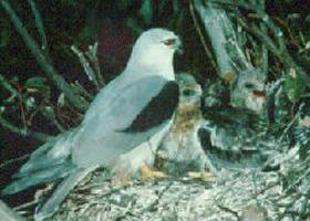 Bushy Park Wetlands - Accommodation Asia 0