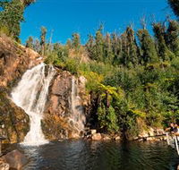 Steavenson Falls Marysville - Accommodation Asia