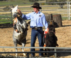 Boggy Creek Shows - Accommodation Guide 2