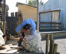 Boggy Creek Shows - Accommodation Guide 4