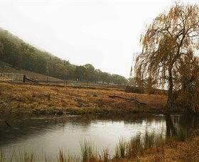 Logan Wines - Accommodation Asia 6