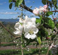 Mouat's Farm - Accommodation Guide