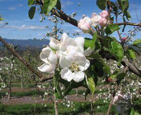 Mouat's Farm - Accommodation Guide 0