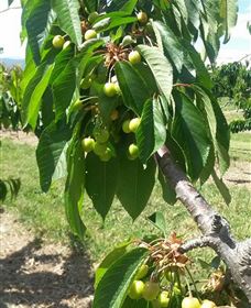 Mouat's Farm - Accommodation Guide 2